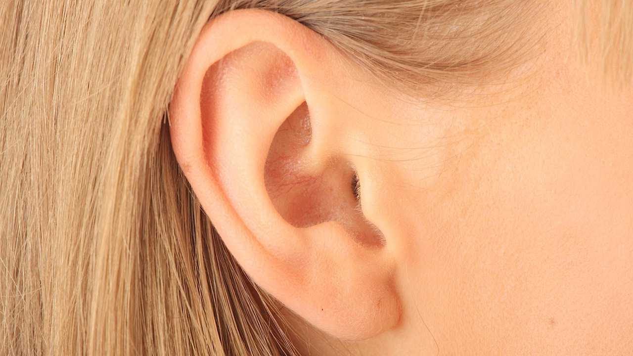 New ear created from ribs